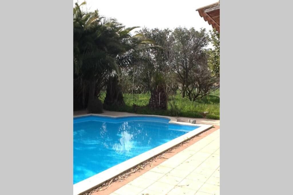 Big Relax Apartment With Swimming Pool And A Peaceful Garden In A Private Villa Sestu 외부 사진