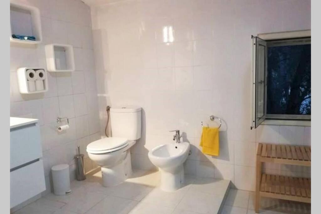 Big Relax Apartment With Swimming Pool And A Peaceful Garden In A Private Villa Sestu 외부 사진