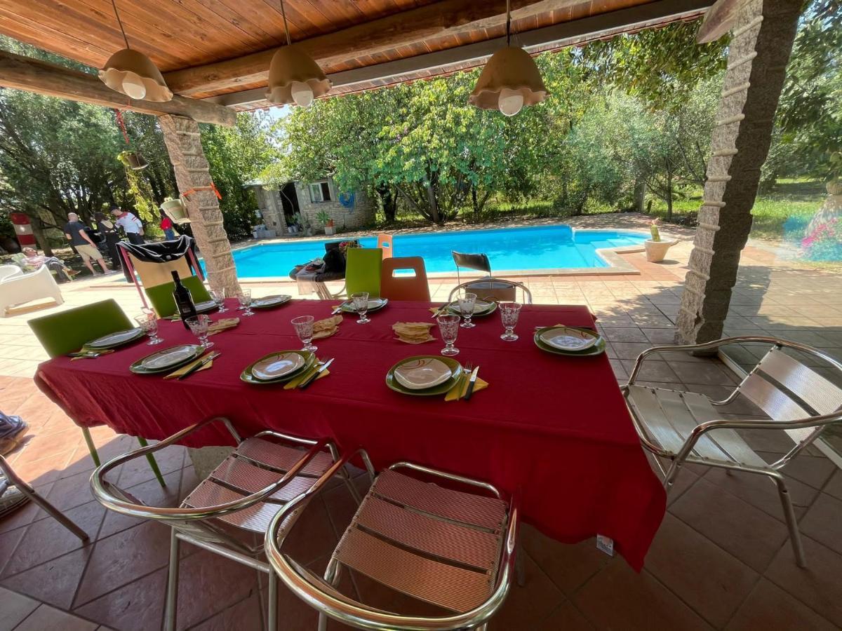 Big Relax Apartment With Swimming Pool And A Peaceful Garden In A Private Villa Sestu 외부 사진