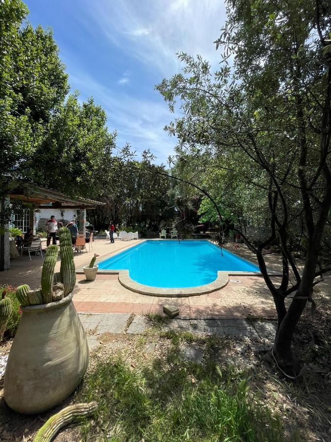 Big Relax Apartment With Swimming Pool And A Peaceful Garden In A Private Villa Sestu 외부 사진