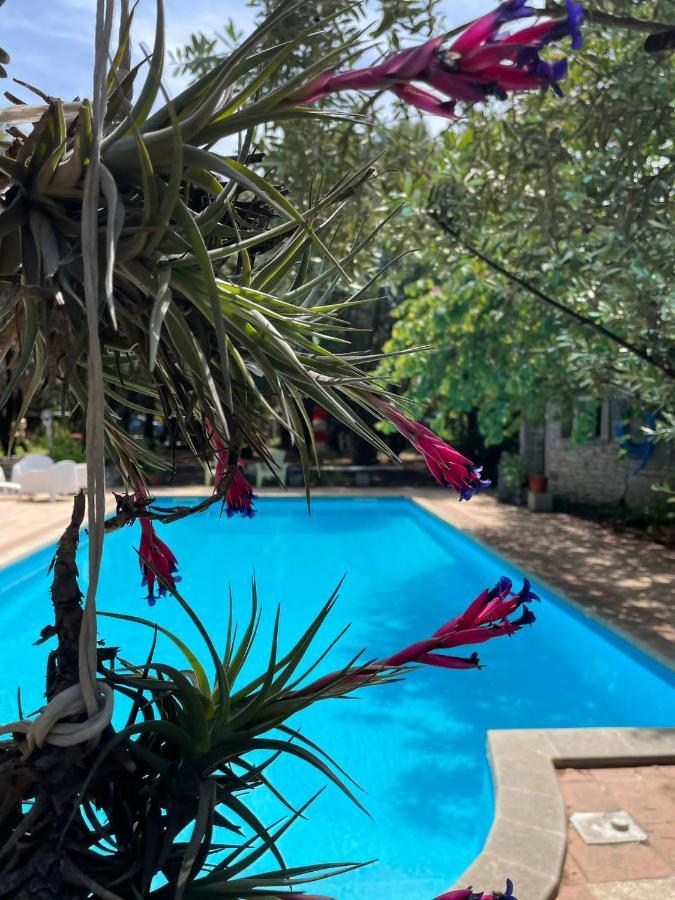 Big Relax Apartment With Swimming Pool And A Peaceful Garden In A Private Villa Sestu 외부 사진